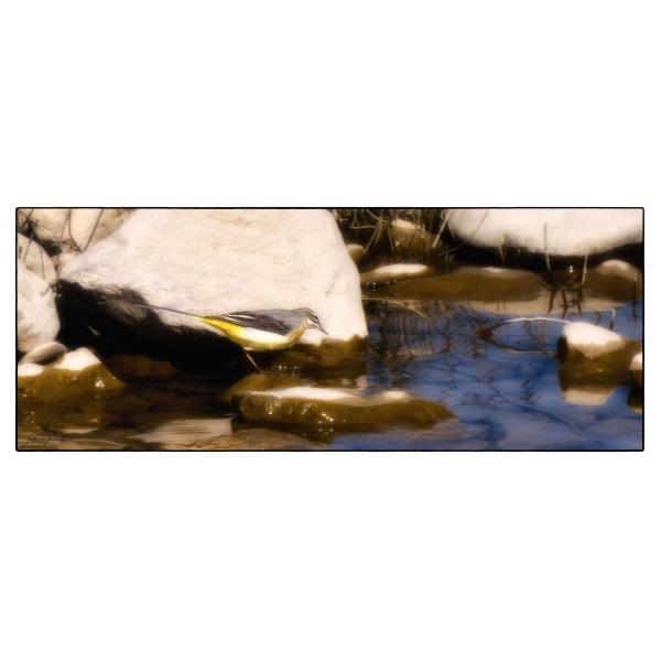 PHOTO84, CLUB, 84 , LUBERON